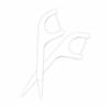 Spancare Dental Floss Toothpicks - 48 Plastic Toothpicks for Teeth view 2