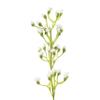Ashland Ivory Mini Baby's Breath Spray, 12 Pack view 4