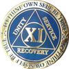 11 Year AA Medallion Reflex Blue Gold Plates Sobriety Chip XI view 3