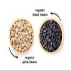 Food to Live Organic Dry Beans Bundle, 2 Pack  Black Beans (5 LB), Pinto Beans (5 LB), Non-GMO, Raw, Vegan, Kosher, Sproutable, Bulk. Rich in Fiber and Protein. Perfect for Soups, Burritos, Tacos view 4