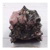 WGPHD Health & Household Natural Rhodan Stone keel carvings,Dragon Head can do Bonsai, Fish Tank Scene, as Well as The Role of Evil Spirits view 2