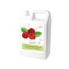 Bossen Concentrated Syrup_5.5 lb (Raspberry) view 2