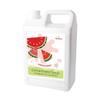 Bossen Concentrated Syrup_5.5 lb (Watermelon) view 2