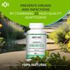 ADAPTOHEAL Immuneheal  Adaptogen, Immune System Booster Supplement with Schisandra Chinensis, Ginseng and Mushroom Extract (180 Capsules) view 4