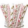 100 pcs Mixed Party Paper Straws Bulk, Vintage Light Pink Gold Dot Chevron Damask Floral Drinking Straws, Girl Birthday Baby Bridal Shower Wedding Cake Pop Sticks (Tea Party) view 1