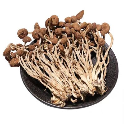 Dired Agrocybe Aegerita,agrocybe Cylindracea; AGROCYBECYLINDRACEA,Dried Mushrooms;Tea Tree Mushrooms;ChaShuGu Dried EdibleTea Tree Mushrooms (1000grams)