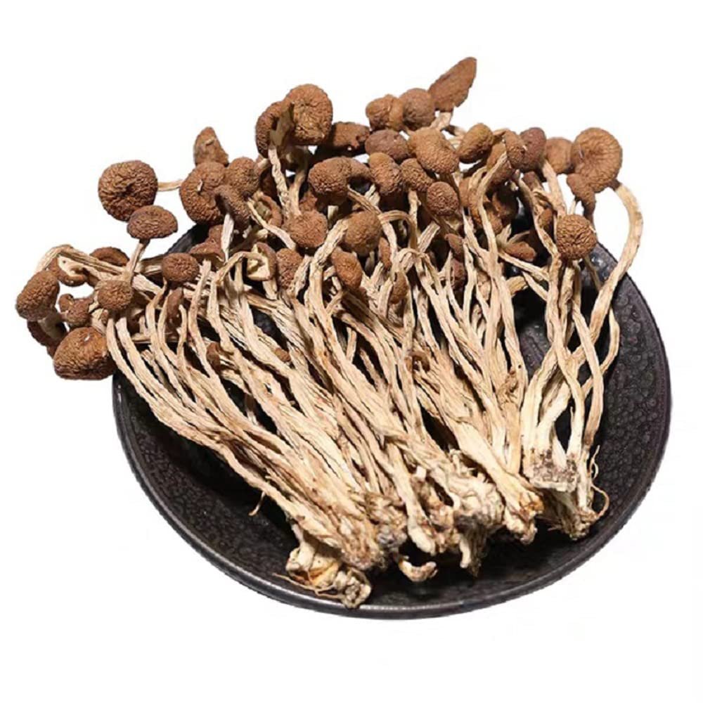 Dired Agrocybe Aegerita,agrocybe Cylindracea; AGROCYBECYLINDRACEA,Dried Mushrooms;Tea Tree Mushrooms;ChaShuGu Dried EdibleTea Tree Mushrooms (1000grams)