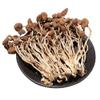 Dired Agrocybe Aegerita,agrocybe Cylindracea; AGROCYBECYLINDRACEA,Dried Mushrooms;Tea Tree Mushrooms;ChaShuGu Dried EdibleTea Tree Mushrooms (1000grams) view 1