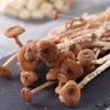 Dired Agrocybe Aegerita,agrocybe Cylindracea; AGROCYBECYLINDRACEA,Dried Mushrooms;Tea Tree Mushrooms;ChaShuGu Dried EdibleTea Tree Mushrooms (1000grams) view 2