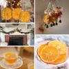 Dehydrated Orange Slices,10.58oz/300g,Dried Orange Slices for Cocktail Rind Dried Fruit for Tea/Cakes/Crafts/Home Decor Sugar Free Natural Fruit view 3