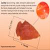 Amazing Gemstone 5 Pieces Carnelian Arrowhead, Crystal and Healing Stone Flint Rock Arrow Head - 1 to 1.5 Arrowheads for DIY Project Craft Point Jewelry Making view 2