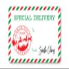 2 x 3 Inch North Pole Express Special Delivery from Santa Christmas Gift Stickers (20 Labels) view 1