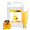 Fanale Premium Flavoring Concentrated Syrup for Bubble Tea 11 lb | Mango Flavor Syrup | for Boba Tea, Smoothies, Slushes, Desserts | 11lb | SRP020 view 1