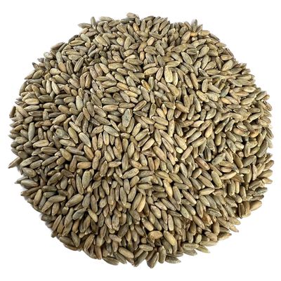 Organic Rye Berries 5 lbs - Non-GMO, Kosher, Raw Whole Grain, Bulk Seeds - Product of USA