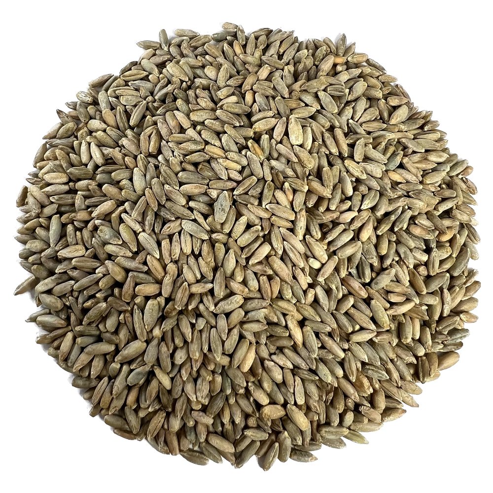 Organic Rye Berries 5 lbs - Non-GMO, Kosher, Raw Whole Grain, Bulk Seeds - Product of USA