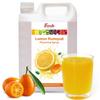 Fanale Premium Flavoring Concentrated Syrup for Bubble Tea 11 lb | Kumquat Flavor Syrup | for Boba Tea, Smoothies, Slushes, Desserts | 11lb | SRP150 view 1