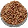 CROW Organic Kulthi Dal/Horse Gram/Gahat/Macrotyloma Uniflorum (500 Gram) view 4