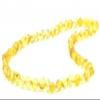 Baltic Amber Necklace for Adult - Natural Amber from Baltic Region, Genuine Amber (19.7 inch, Honey)