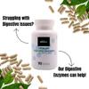 BIOME X Ultimate Digestive Enzymes,100% Vegan Friendly Gut Health, Formulated with Blend of Digestive Enzymes for Balanced Metabolism in Both Women/Men, (90 Count) view 4
