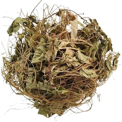 BETT Masparni -  - Teramnus Labialis (100 GMS)