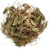 BETT Masparni -  - Teramnus Labialis (100 GMS) view 1