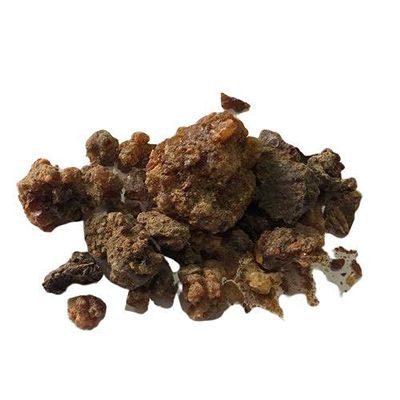 BETT Hirabol (Rakt BOL) - Bijabol - Hirabol - Murmukhi -  ( ) - Mur Makki - Commiphora myrrha Nees (50 GMS)