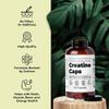 Santa Cruz Paleo Creatine Capsules, Supports Muscle Growth & Energy, Gluten Free, Keto, Sugar Free, Paleo, No Fillers or Additives, Creatine Monohydrate Pills, 2500mg, 100 Servings, 300 Capsules view 4