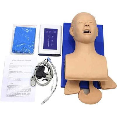 KENNIX PVC Adult Intubation Manikin Teaching Model, Airway Management Trainer Tracheal Intubation Training Simulator Model for Science Lab Education