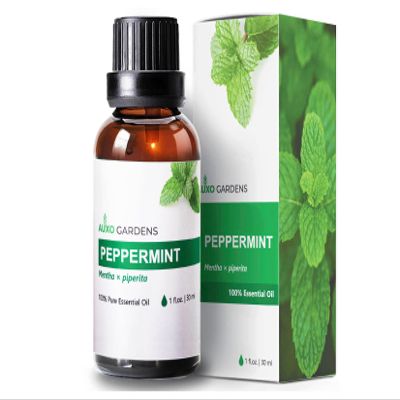 Auxo Gardens Peppermint Essential Oil 1oz(30ml) - 100% Natural and Pure, Premium Quality Therapeutic Grade Essential Oil for Aromatherapy-Fresh, Minty and Stimulating