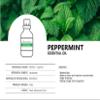 Auxo Gardens Peppermint Essential Oil 1oz(30ml) - 100% Natural and Pure, Premium Quality Therapeutic Grade Essential Oil for Aromatherapy-Fresh, Minty and Stimulating view 3