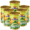 Rani Mango Pulp Puree (Makes Mango Lassi Shakes) Alphonso Sweetened 30oz (1.875lbs) 850g Pack of 6 ~ Kosher | All Natural | NON-GMO | Vegan | No colors | Gluten Friendly | Indian Origin view 1