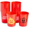 1000PCS Custom Stadium Cups Personalized Plastic Cups Disposable Cups Bulk 16 oz Plastic Cups view 4