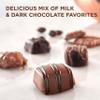 RUSSELL STOVER Christmas Assorted Milk & Dark Chocolate Candy WOW Gift Box, 20 oz. view 3