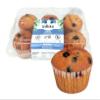 Inbite Exquisite Gluten-Free Muffins | 6 Count - Quick & Easy Microwaveable Delight | Gluten-Free | Lactose-Free - Kosher Pareve (1 Pack, Blueberry) view 1