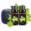 Basil Essential Oil, Basil Oil for Diffuser Humidifier Yoga Cleaning DIY Candle Soap Making Essential Oils 2 Pack x10ml view 2