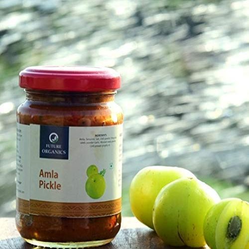 TARIN Future Organics Amla Pickle - Pack of 2 (160 Grams Each) | 100% Fresh Achar with Homemade Taste & Pure Natural Healthy Ingredients
