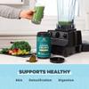 Ancient Nutrition Supergreens Powder, Organic Superfood Powder with Collagen, Made from Real Fruits, Vegetables and Herbs, for Digestive and Energy Support, 25 Servings, 7.5oz view 4