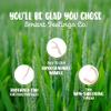 Biodegradable Dental Floss Picks 100 Count 2 Packs | Eco-Friendly Bamboo Like Straw Wheat Sustainable Mint Flavored Flossers for Kids and Adult Teeth Cleaning for The Enviromentally Conscious view 2