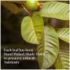 10.4oz Hoja De Guayaba Secas, Dried Guava Leaves, Natural Leaves, Dried Guava Leaf, Aromatic Leaf Tea, Non- GMO, Caffeine free, No Additives view 3