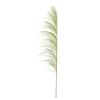 Vickerman 688090-60-72" Basil Uva Palm Spray 10/Bunch (H2UVA105) Dried and Preserved Palms view 1