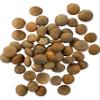 Palouse Brand Certified Glyphosate Residue Free Brown Lentils | 25 LBS | Food Storage Bucket | Non-GMO | Grown on Our Family Farm | Bulk view 2