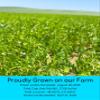 Palouse Brand Certified Glyphosate Residue Free Brown Lentils | 25 LBS | Food Storage Bucket | Non-GMO | Grown on Our Family Farm | Bulk view 3