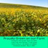 Palouse Brand Certified Glyphosate Residue Free Chickpeas | Garbanzo Beans | 25 LBS | Emergency Food Storage Bucket | Non-GMO | Grown on Our Family Farm | Bulk view 3