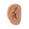 SimCoach Acupuncture Ear Model, Right Artificial Ear Replica for Auricular Therapy Teaching, Piercing Practice, Hearing Aids, Jewelry Display (Brown) view 1