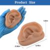 SimCoach Acupuncture Ear Model, Right Artificial Ear Replica for Auricular Therapy Teaching, Piercing Practice, Hearing Aids, Jewelry Display (Brown) view 2