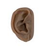 SimCoach Acupuncture Ear Model, Right Artificial Ear Replica for Auricular Therapy Teaching, Piercing Practice, Hearing Aids, Jewelry Display (Black) view 1