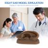 SimCoach Acupuncture Ear Model, Right Artificial Ear Replica for Auricular Therapy Teaching, Piercing Practice, Hearing Aids, Jewelry Display (Black) view 3