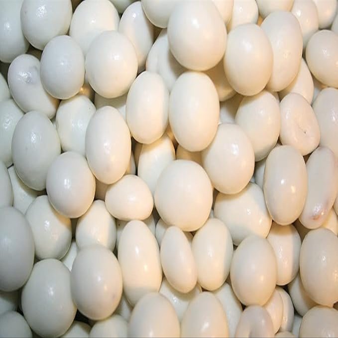 Bayside Candy Yogurt Covered Peanuts - Yogurt Peanut (1LB)