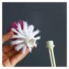 KIZQYN Toilet Brush 2pcs Household Toilet Brush Toilet Wash Toilet Brush Long Handle Cleaning Brush Set Plastic Toilet Brush Toilet Cleaner Brush (Color : D, Size : 1pc) view 4