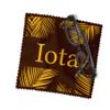 Iota Phi Theta Eyeglass Cleaner & Microfiber Cleaning Cloth (Iota Phi Theta - 7) view 2
